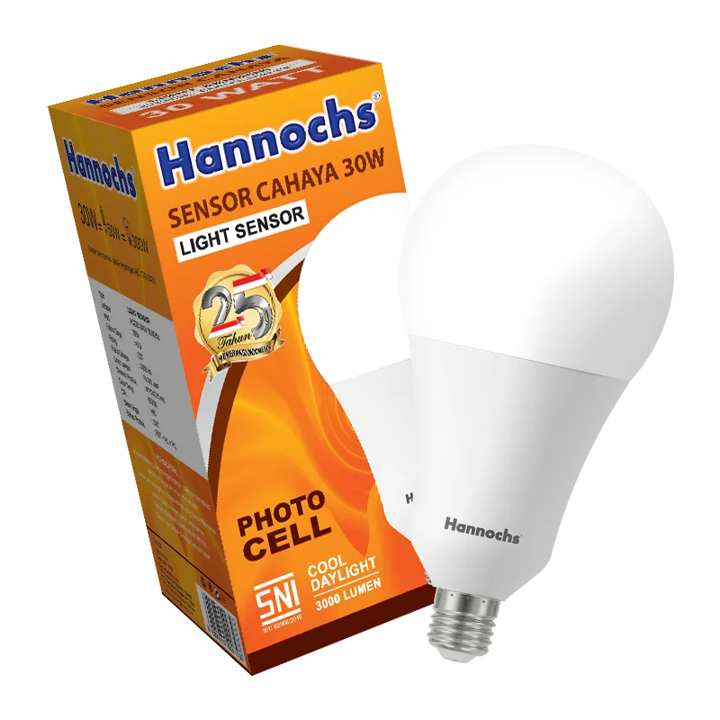 Hannochs Sensor Cahaya 30Watt