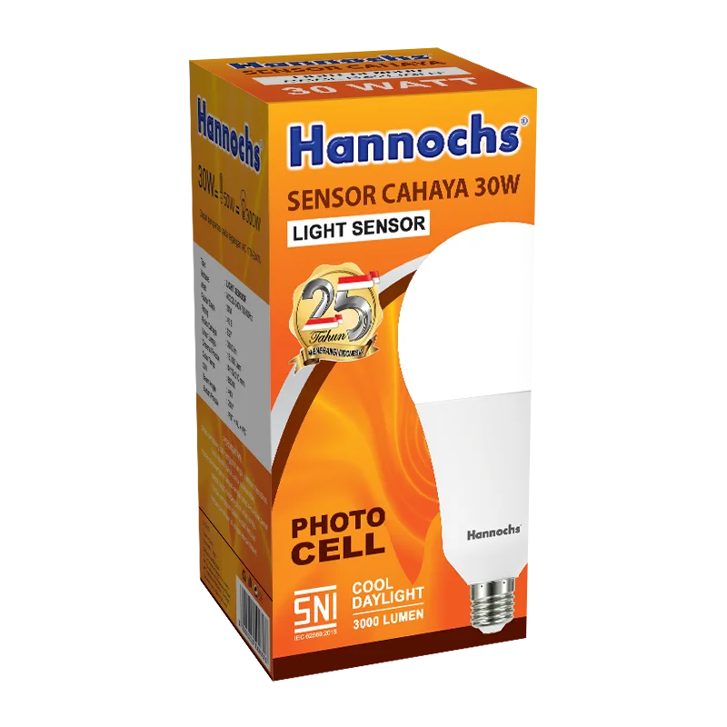 Hannochs Sensor Cahaya 30Watt tampak 3d