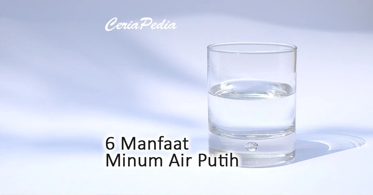 6 manfaat minum air putih bagi kesehatan