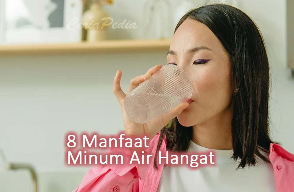 8 Manfaat Minum Air Hangat 6 8 manfaat minum air hangat